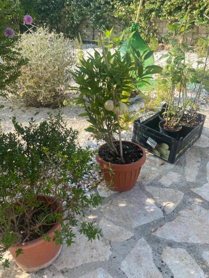 Bed and Breakfast Apulia Casa E Cucina Трани Экстерьер фото